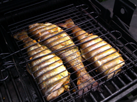 Trout On A Grill